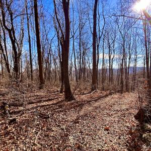 Photo #53 of SOLD property in 1373, 1397, 1398 Peaches N Cream Ln, Bedford, VA 122.2 acres