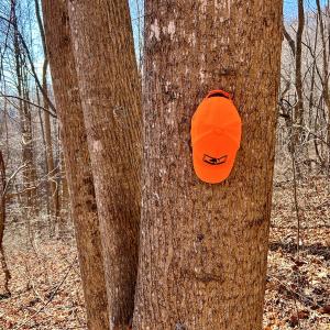 Photo #54 of SOLD property in 1373, 1397, 1398 Peaches N Cream Ln, Bedford, VA 122.2 acres