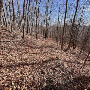 Photo #56 of SOLD property in 1373, 1397, 1398 Peaches N Cream Ln, Bedford, VA 122.2 acres
