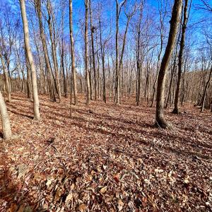 Photo #57 of SOLD property in 1373, 1397, 1398 Peaches N Cream Ln, Bedford, VA 122.2 acres