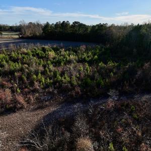 Photo #12 of SOLD property in Off Jolly Ole Field Rd, Grifton, NC 18.5 acres