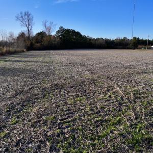 Photo #18 of SOLD property in Off Jolly Ole Field Rd, Grifton, NC 18.5 acres