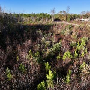 Photo #10 of SOLD property in Off Jolly Ole Field Rd, Grifton, NC 18.5 acres