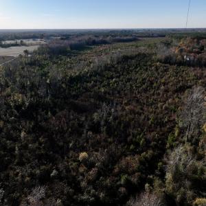 Photo #12 of SOLD property in 2023 Carraway Ln, Grifton, NC 180.6 acres