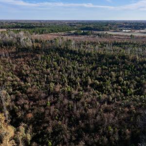 Photo #14 of SOLD property in 2023 Carraway Ln, Grifton, NC 180.6 acres
