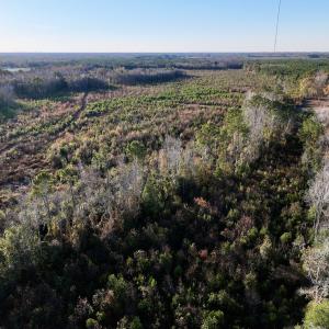 Photo #15 of SOLD property in 2023 Carraway Ln, Grifton, NC 180.6 acres