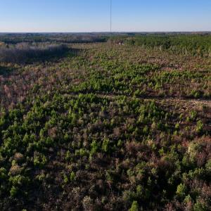 Photo #17 of SOLD property in 2023 Carraway Ln, Grifton, NC 180.6 acres