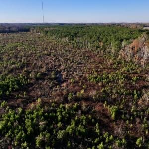 Photo #18 of SOLD property in 2023 Carraway Ln, Grifton, NC 180.6 acres