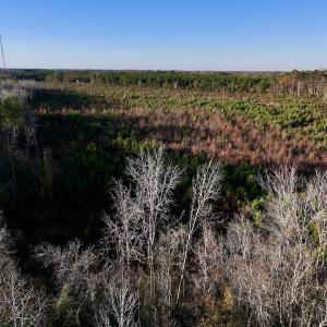 Photo #19 of SOLD property in 2023 Carraway Ln, Grifton, NC 180.6 acres