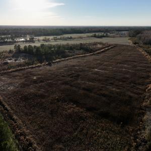Photo #10 of SOLD property in 2023 Carraway Ln, Grifton, NC 180.6 acres