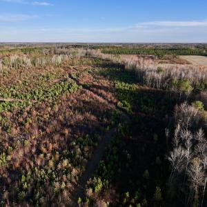 Photo #23 of SOLD property in 2023 Carraway Ln, Grifton, NC 180.6 acres