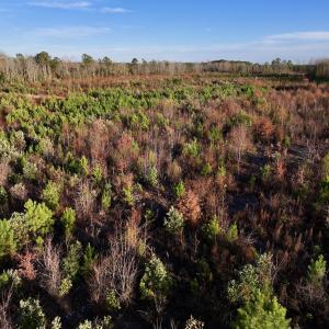 Photo #24 of SOLD property in 2023 Carraway Ln, Grifton, NC 180.6 acres