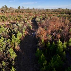 Photo #26 of SOLD property in 2023 Carraway Ln, Grifton, NC 180.6 acres