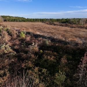 Photo #28 of SOLD property in 2023 Carraway Ln, Grifton, NC 180.6 acres