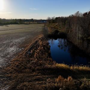 Photo #29 of SOLD property in 2023 Carraway Ln, Grifton, NC 180.6 acres