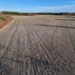 Photo #31 of SOLD property in 2023 Carraway Ln, Grifton, NC 180.6 acres