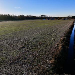 Photo #35 of SOLD property in 2023 Carraway Ln, Grifton, NC 180.6 acres