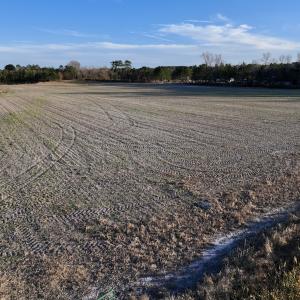 Photo #37 of SOLD property in 2023 Carraway Ln, Grifton, NC 180.6 acres