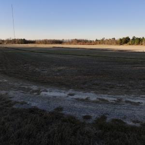 Photo #39 of SOLD property in 2023 Carraway Ln, Grifton, NC 180.6 acres