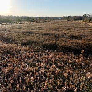 Photo #42 of SOLD property in 2023 Carraway Ln, Grifton, NC 180.6 acres