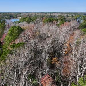Photo #11 of SOLD property in 68 Caraway Court, Grantsboro, NC 1.2 acres