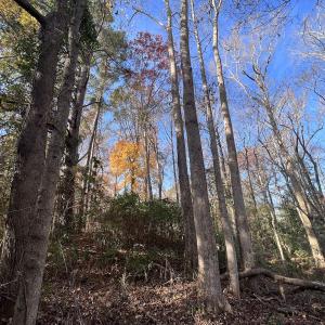 Photo #15 of SOLD property in 68 Caraway Court, Grantsboro, NC 1.2 acres