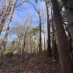 Photo #16 of SOLD property in 68 Caraway Court, Grantsboro, NC 1.2 acres