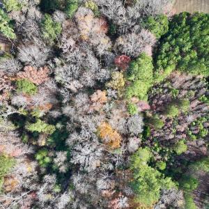 Photo #3 of SOLD property in 68 Caraway Court, Grantsboro, NC 1.2 acres