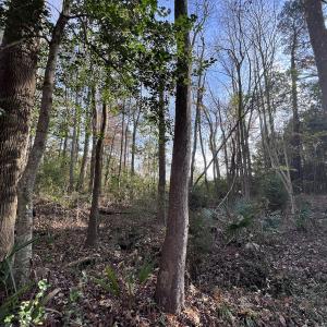 Photo #21 of SOLD property in 68 Caraway Court, Grantsboro, NC 1.2 acres