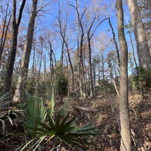 Photo #22 of SOLD property in 68 Caraway Court, Grantsboro, NC 1.2 acres