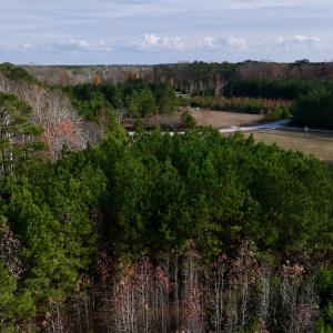 Photo #6 of SOLD property in 68 Caraway Court, Grantsboro, NC 1.2 acres
