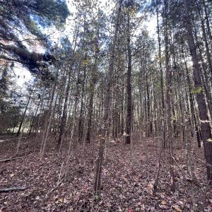 Photo #7 of SOLD property in 68 Caraway Court, Grantsboro, NC 1.2 acres