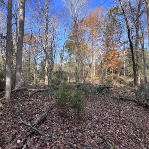 Photo #8 of SOLD property in 68 Caraway Court, Grantsboro, NC 1.2 acres