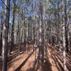 Photo #9 of SOLD property in 68 Caraway Court, Grantsboro, NC 1.2 acres