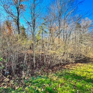 Photo #28 of SOLD property in Off Oliver Loop Road , Roxboro, NC 1.2 acres