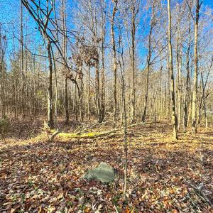 Photo #32 of SOLD property in Off Oliver Loop Road , Roxboro, NC 1.2 acres