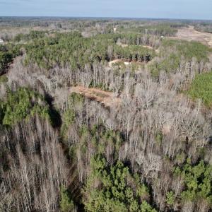 Photo #9 of SOLD property in 01 Peachtree Hills Road, Spring Hope, NC 11.3 acres