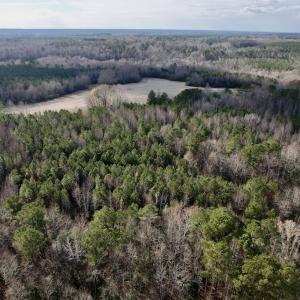 Photo #11 of SOLD property in 01 Peachtree Hills Road, Spring Hope, NC 11.3 acres