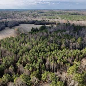Photo #12 of SOLD property in 01 Peachtree Hills Road, Spring Hope, NC 11.3 acres