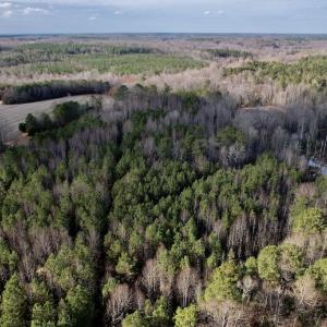 Photo #13 of SOLD property in 01 Peachtree Hills Road, Spring Hope, NC 11.3 acres