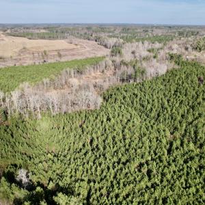 Photo #14 of SOLD property in 01 Peachtree Hills Road, Spring Hope, NC 11.3 acres