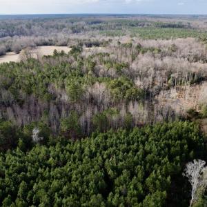 Photo #15 of SOLD property in 01 Peachtree Hills Road, Spring Hope, NC 11.3 acres