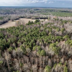 Photo #16 of SOLD property in 01 Peachtree Hills Road, Spring Hope, NC 11.3 acres