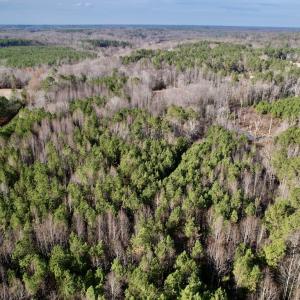 Photo #18 of SOLD property in 01 Peachtree Hills Road, Spring Hope, NC 11.3 acres