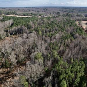 Photo #19 of SOLD property in 01 Peachtree Hills Road, Spring Hope, NC 11.3 acres