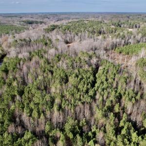 Photo #2 of SOLD property in 01 Peachtree Hills Road, Spring Hope, NC 11.3 acres