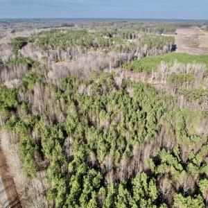 Photo #3 of SOLD property in 01 Peachtree Hills Road, Spring Hope, NC 11.3 acres