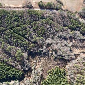 Photo #21 of SOLD property in 01 Peachtree Hills Road, Spring Hope, NC 11.3 acres
