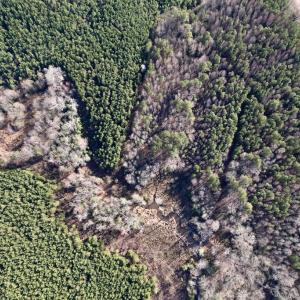 Photo #22 of SOLD property in 01 Peachtree Hills Road, Spring Hope, NC 11.3 acres
