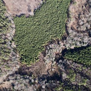 Photo #23 of SOLD property in 01 Peachtree Hills Road, Spring Hope, NC 11.3 acres